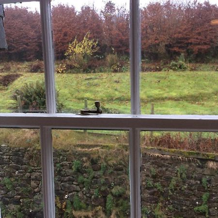 The Forest Inn Dartmoor Yelverton Zewnętrze zdjęcie